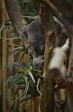 Kids_DZoo-SBreak2012 (140)